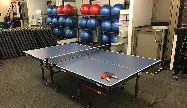 Wellness Center Ping Pong Table